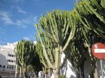 Viaje a Almer�a - 2