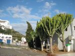 Viaje a Almer�a - 4