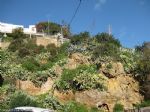 Viaje a Almer�a - 6