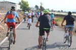 bicis - 65 bicis