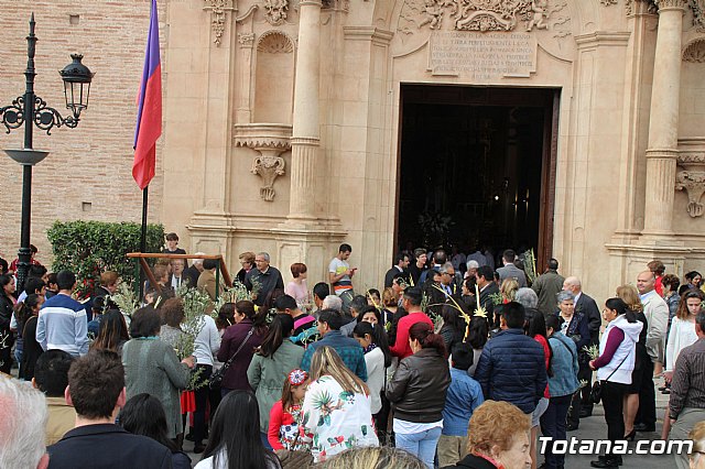 Domingo de Ramos - Procesin Iglesia Santiago - Semana Santa 2017 - 23