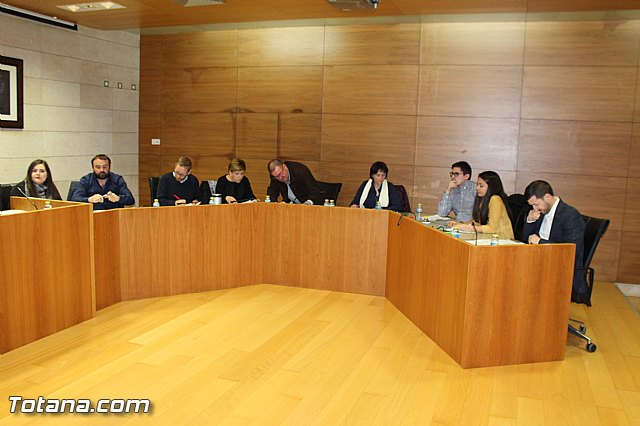 Pleno ordinario diciembre 2015 - 4 Pleno ordinario diciembre 2015 - 4