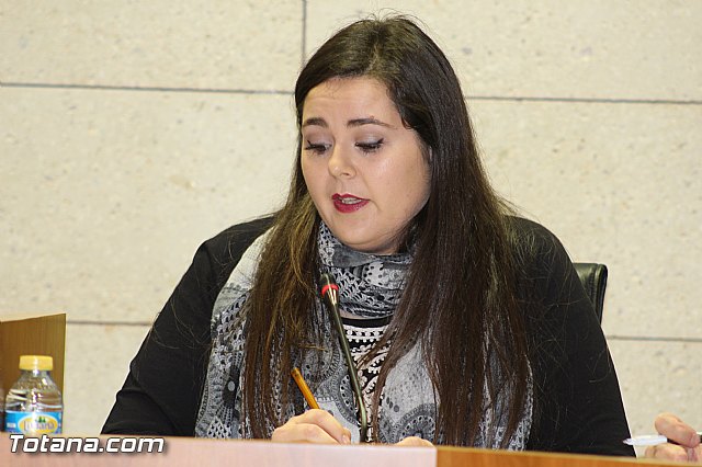 Pleno ordinario diciembre 2015 - 9 Pleno ordinario diciembre 2015 - 9