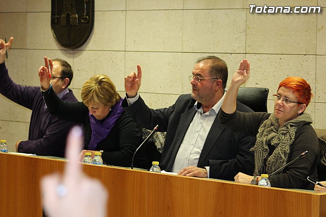 Pleno ordinario diciembre 2015 - 12 Pleno ordinario diciembre 2015 - 12