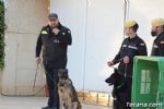 perros - 9 perros