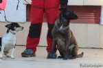 perros - 12 perros
