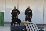 perros - 18 perros