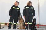 perros - 24 perros
