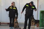 perros - 25 perros
