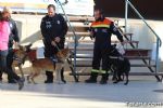 perros - 26 perros
