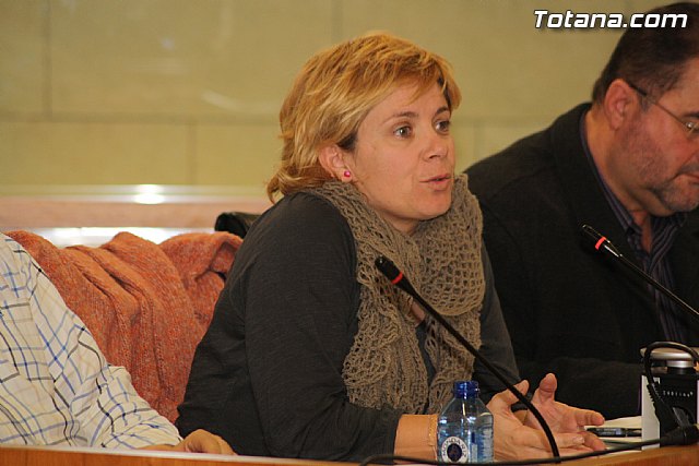 Pleno ordinario enero 2012 - 13 Pleno ordinario enero 2012 - 13