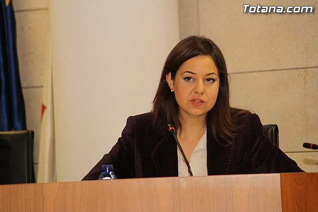 Pleno ordinario enero 2012 - 17 Pleno ordinario enero 2012 - 17