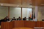 pleno - 29 pleno