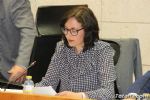 pleno - 31 pleno
