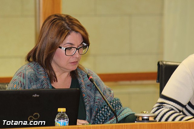 Pleno extraordinario 21/12/2015 - 17 Pleno extraordinario 21/12/2015 - 17