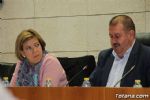 pleno - 19 pleno