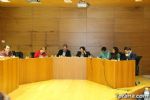 pleno febrero - 15 pleno febrero