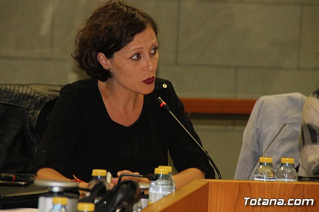 Pleno ordinario Octubre 2018 - 19 Pleno ordinario Octubre 2018 - 19