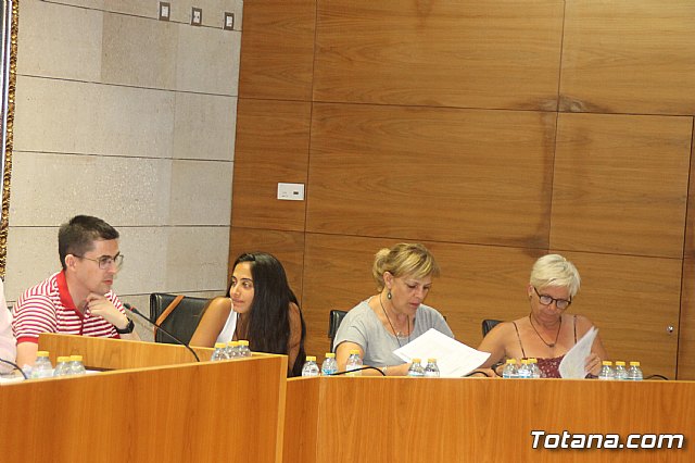 Pleno ordinario Julio 2018 - 11 Pleno ordinario Julio 2018 - 11