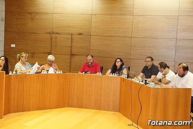 Pleno ordinario Julio 2018 - 13 Pleno ordinario Julio 2018 - 13