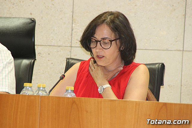 Pleno ordinario Julio 2018 - 17 Pleno ordinario Julio 2018 - 17