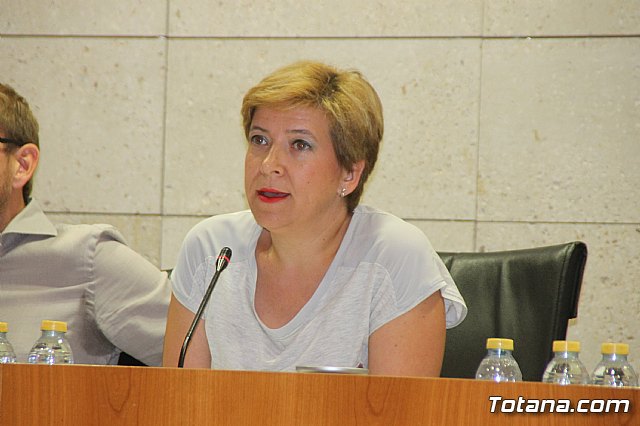 Pleno ordinario Julio 2018 - 22 Pleno ordinario Julio 2018 - 22