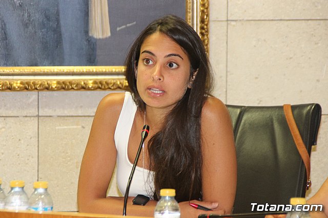 Pleno ordinario Julio 2018 - 28 Pleno ordinario Julio 2018 - 28