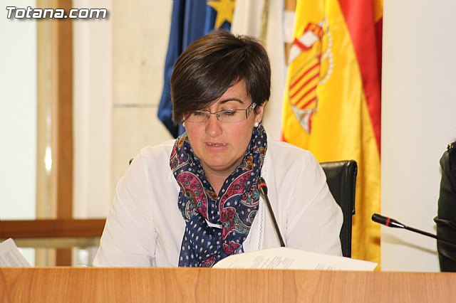 Pleno ordinario Noviembre 2012 - 19 Pleno ordinario Noviembre 2012 - 19