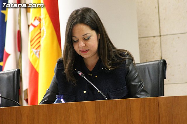 Pleno ordinario Noviembre 2012 - 20 Pleno ordinario Noviembre 2012 - 20