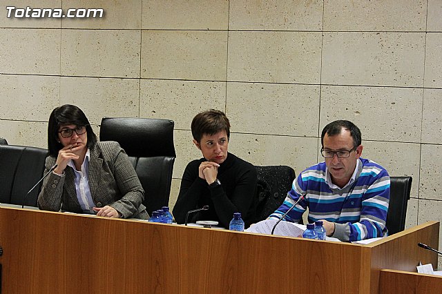 Pleno ordinario Noviembre 2012 - 21 Pleno ordinario Noviembre 2012 - 21