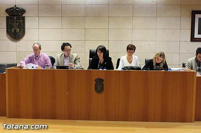 Pleno ordinario Diciembre 2012 - 5 Pleno ordinario Diciembre 2012 - 5