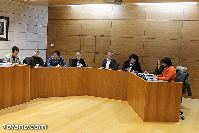 Pleno ordinario Diciembre 2012 - 8 Pleno ordinario Diciembre 2012 - 8