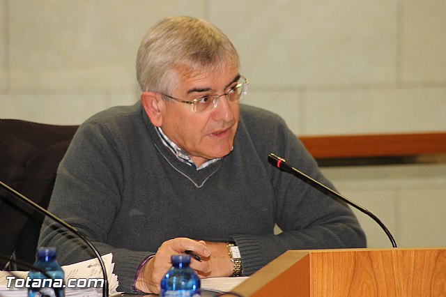 Pleno ordinario Diciembre 2012 - 11 Pleno ordinario Diciembre 2012 - 11