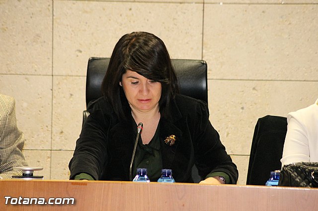 Pleno ordinario Diciembre 2012 - 15 Pleno ordinario Diciembre 2012 - 15