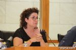 pleno - 15 pleno