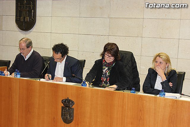 Pleno ordinario noviembre 2013 - 4 Pleno ordinario noviembre 2013 - 4