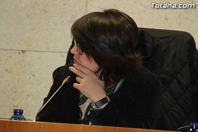 Pleno ordinario noviembre 2013 - 15 Pleno ordinario noviembre 2013 - 15