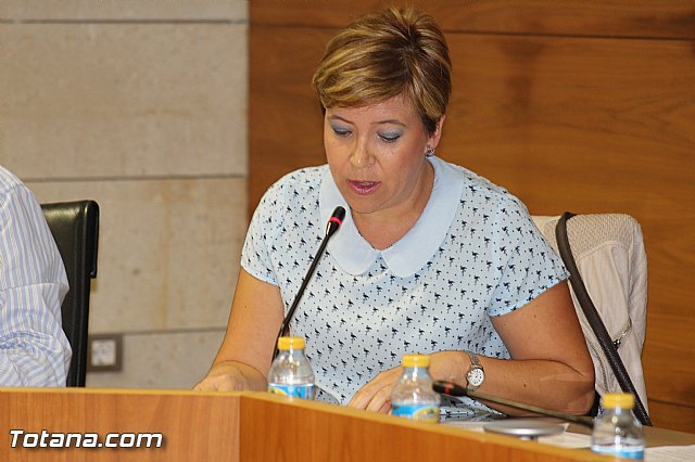 Pleno ordinario septiembre 2015 - 30 Pleno ordinario septiembre 2015 - 30