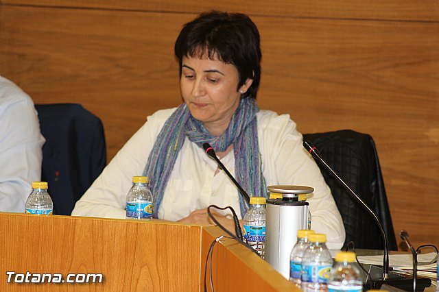 Pleno ordinario septiembre 2015 - 54 Pleno ordinario septiembre 2015 - 54
