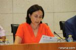 Pleno 09 2017 - 11 Pleno 09 2017