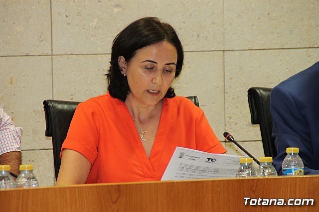 Pleno ordinario septiembre 2017 - 11 Pleno ordinario septiembre 2017 - 11