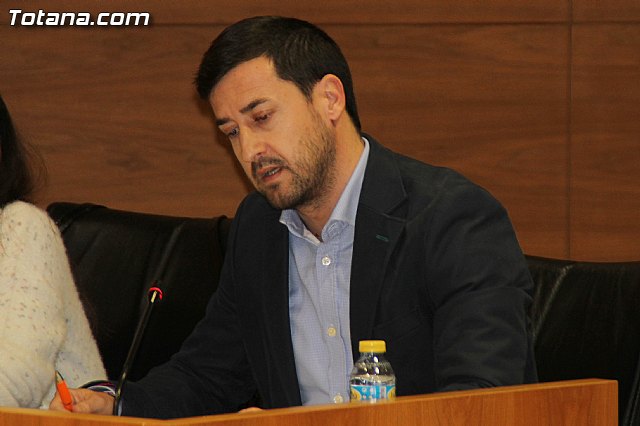Pleno ordinario Diciembre 2016 - 11 Pleno ordinario Diciembre 2016 - 11