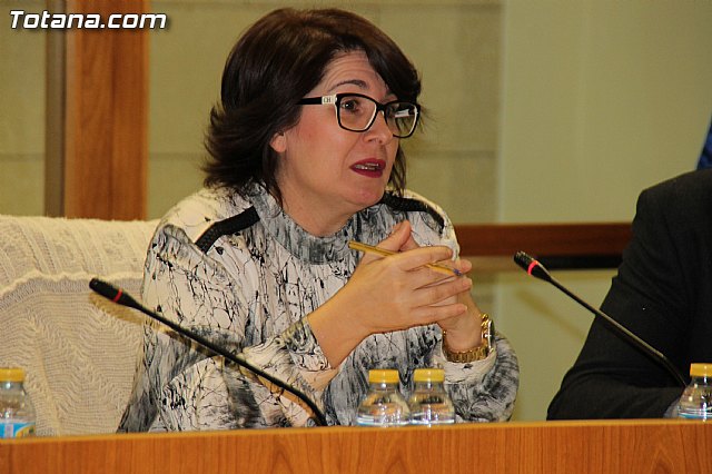Pleno ordinario Diciembre 2016 - 13 Pleno ordinario Diciembre 2016 - 13