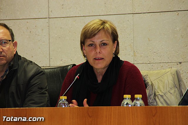 Pleno ordinario Diciembre 2016 - 20 Pleno ordinario Diciembre 2016 - 20