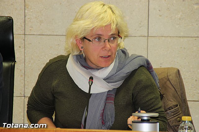 Pleno ordinario Diciembre 2016 - 23 Pleno ordinario Diciembre 2016 - 23
