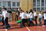 Proce infantil - 19 Proce infantil