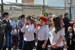 Proce infantil - 39 Proce infantil