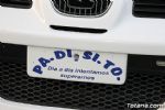 rally - 11 rally