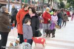 San Anton 2012 - 2