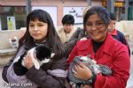 San Anton 2012 - 3